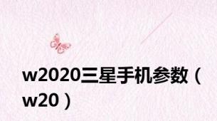 w2020三星手机参数（w20）
