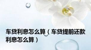 车贷利息怎么算（车贷提前还款利息怎么算）