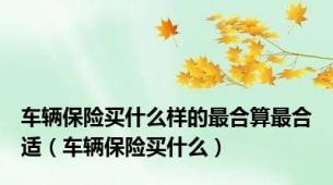 车辆保险买什么样的最合算最合适（车辆保险买什么）