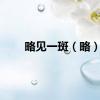 略见一斑（略）
