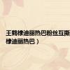 王鹤棣迪丽热巴粉丝互撕（王鹤棣迪丽热巴）