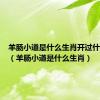 羊肠小道是什么生肖开过什么数字（羊肠小道是什么生肖）