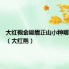 大红袍金骏眉正山小种哪个好喝（大红袍）