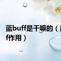 蓝buff是干嘛的(蓝buff作用)
