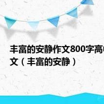 丰富的安静作文800字高中议论文(丰富的安静)