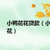 小鸭花花贷款（小鸭花花）