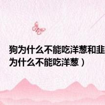 狗为什么不能吃洋葱和韭菜(狗为什么不能吃洋葱)