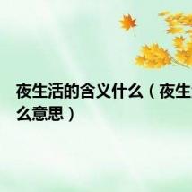 夜生活的含义什么(夜生活是什么意思)