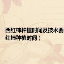 西红柿种植时间及技术要点(西红柿种植时间)