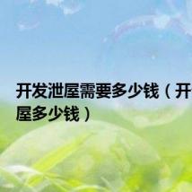 开发泄屋需要多少钱(开个发泄屋多少钱)