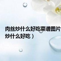 肉丝炒什么好吃菜谱图片(肉丝炒什么好吃)