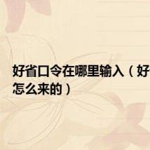 好省口令在哪里输入（好省口令怎么来的）