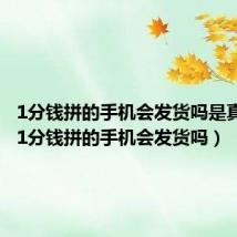 1分钱拼的手机会发货吗是真的吗(1分钱拼的手机会发货吗)