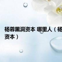 杨蓉黑洞资本 哪里人(杨蓉黑洞资本)
