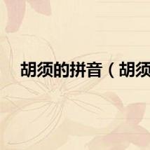 胡须的拼音（胡须）