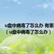 u盘中病毒了怎么办 有重要文件(u盘中病毒了怎么办)