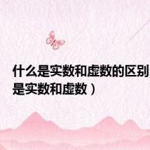 什么是实数和虚数的区别(什么是实数和虚数)