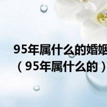 95年属什么的婚姻最佳(95年属什么的)