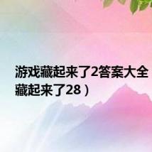 游戏藏起来了2答案大全（游戏藏起来了28）