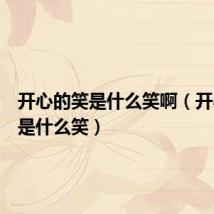 开心的笑是什么笑啊(开心的笑是什么笑)