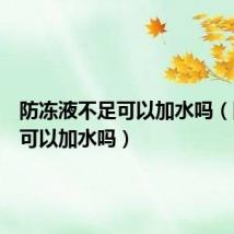 防冻液不足可以加水吗(防冻液可以加水吗)