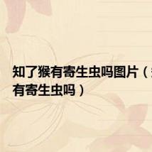 知了猴有寄生虫吗图片(知了猴有寄生虫吗)
