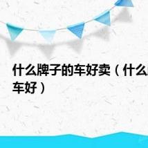 什么牌子的车好卖（什么牌子的车好）