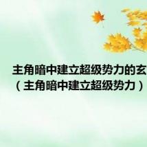 主角暗中建立超级势力的玄幻小说(主角暗中建立超级势力)