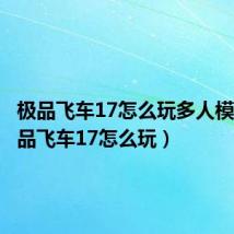 极品飞车17怎么玩多人模式(极品飞车17怎么玩)
