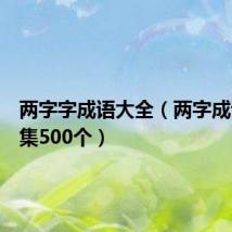 两字字成语大全（两字成语大全集500个）