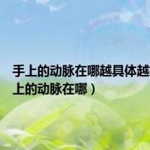 手上的动脉在哪越具体越好（手上的动脉在哪）
