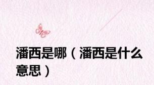 潘西是哪（潘西是什么意思）