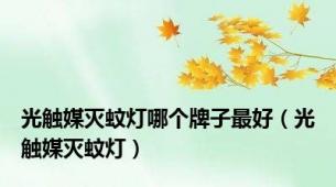 光触媒灭蚊灯哪个牌子最好（光触媒灭蚊灯）