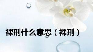 裸刑什么意思（裸刑）