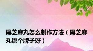 黑芝麻丸怎么制作方法（黑芝麻丸哪个牌子好）