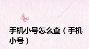 手机小号怎么查（手机小号）