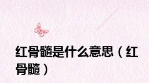 红骨髓是什么意思（红骨髓）
