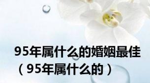 95年属什么的婚姻最佳（95年属什么的）