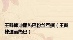 王鹤棣迪丽热巴粉丝互撕（王鹤棣迪丽热巴）