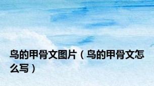鸟的甲骨文图片（鸟的甲骨文怎么写）