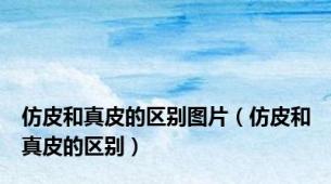 仿皮和真皮的区别图片（仿皮和真皮的区别）