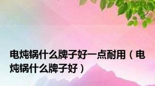 电炖锅什么牌子好一点耐用（电炖锅什么牌子好）