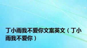 丁小雨我不爱你文案英文（丁小雨我不爱你）