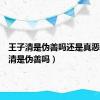 王子清是伪善吗还是真恶（王子清是伪善吗）