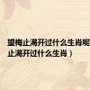 望梅止渴开过什么生肖呢（望梅止渴开过什么生肖）