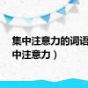 集中注意力的词语（集中注意力）
