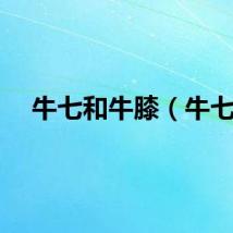 牛七和牛膝（牛七）