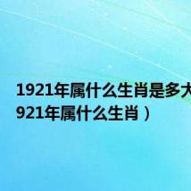 1921年属什么生肖是多大了(1921年属什么生肖)