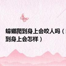 蟑螂爬到身上会咬人吗（蟑螂爬到身上会怎样）
