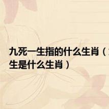 九死一生指的什么生肖(九死一生是什么生肖)
